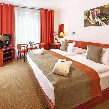 Hotel & Wellness Olympia 4*
